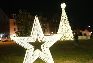 Twinkling Lights & Holiday Delights