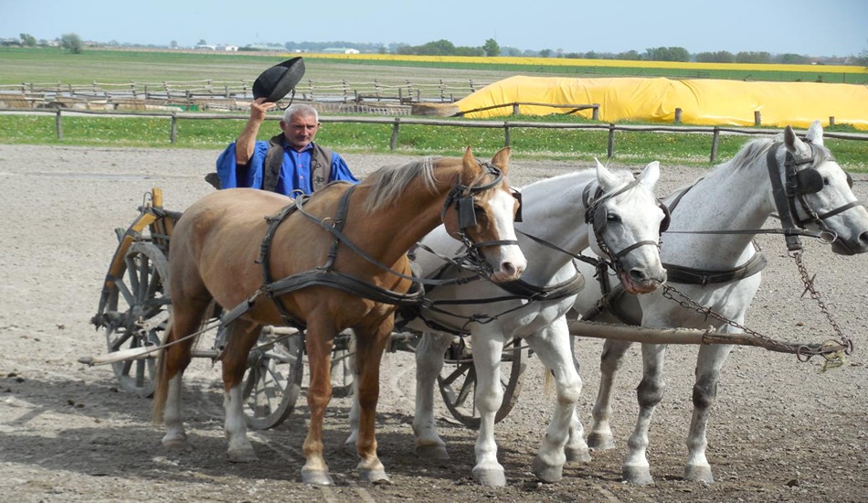 Traditional horse show for cruise passengers in Kalocsa, Hungary