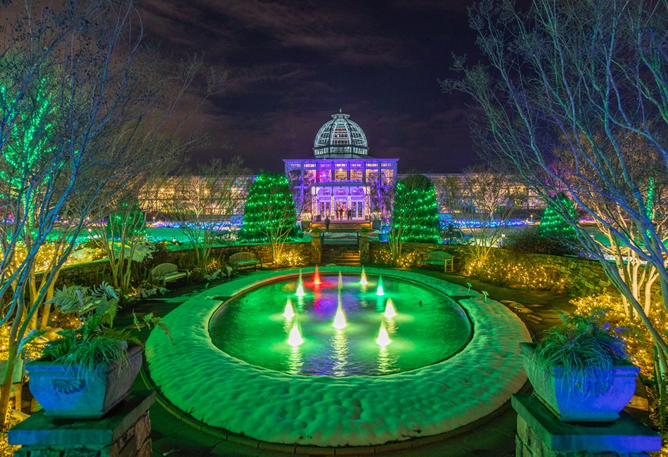 Classic Holiday Elegance & Festive Lights