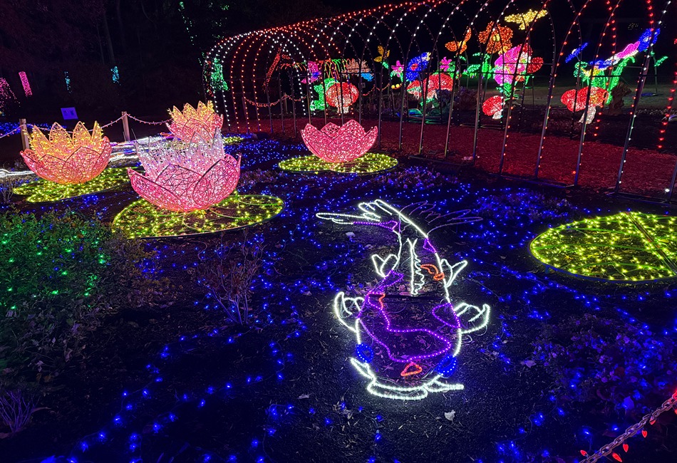 Winter Walk of Lights at Meadowlark Botanical Gardens.