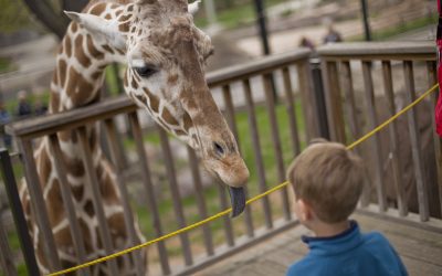 Southeastern Wisconsin