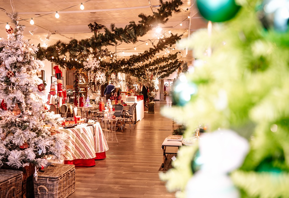 Twinkling Lights & Holiday Delights