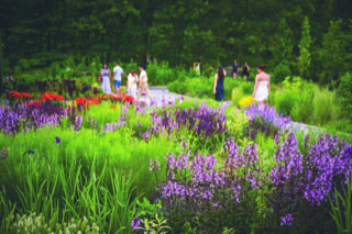 New England Botanical Garden at Tower Hill