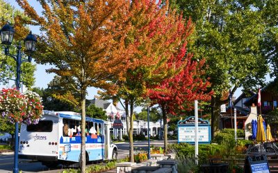 TAP Into The Midwest for Dream Destinations