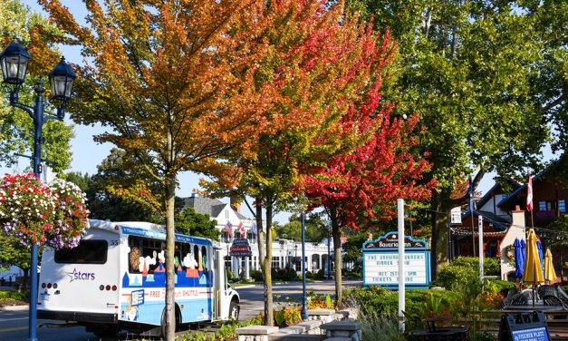 TAP Into The Midwest for Dream Destinations