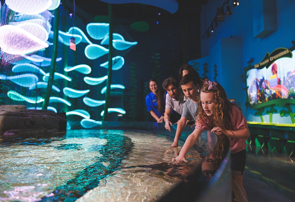 aquatic exhibits