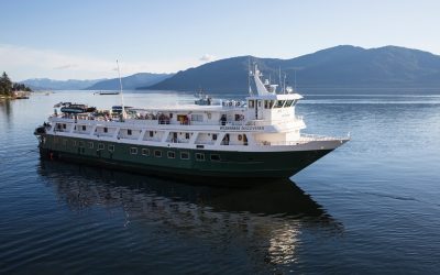 Exploring the Wild with UnCruise Adventures