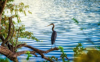 10 Ways to Enjoy the Outdoors in Maryland