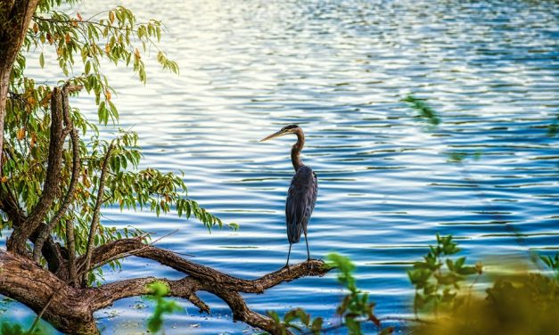 10 Ways to Enjoy the Outdoors in Maryland