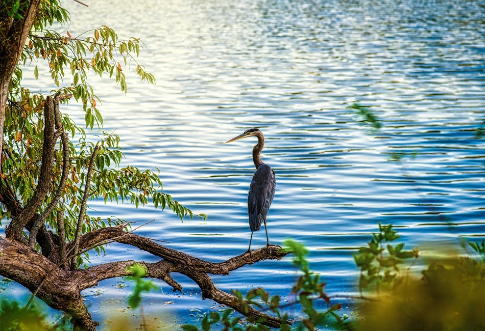 10 Ways to Enjoy the Outdoors in Maryland