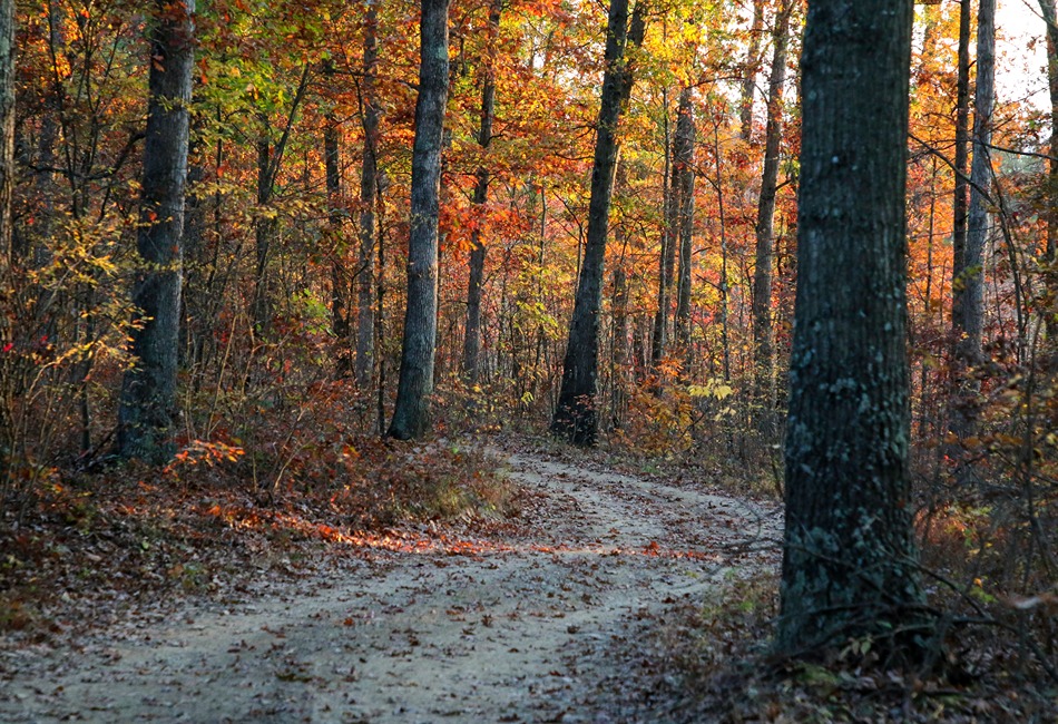 Go Camping in Maryland’s State Parks