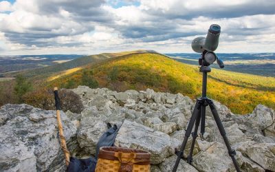 Pennsylvania Fall Foliage Tours
