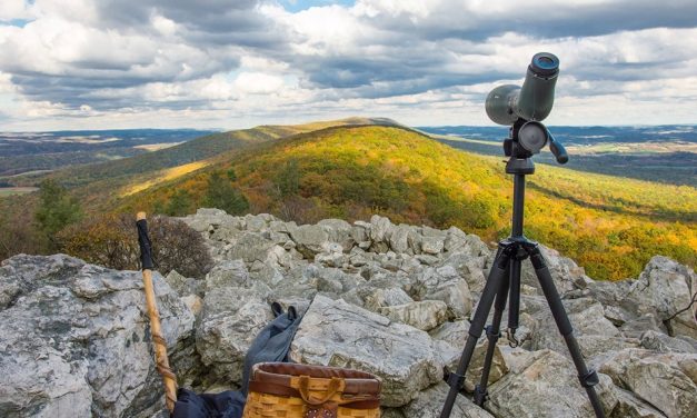Pennsylvania Fall Foliage Tours