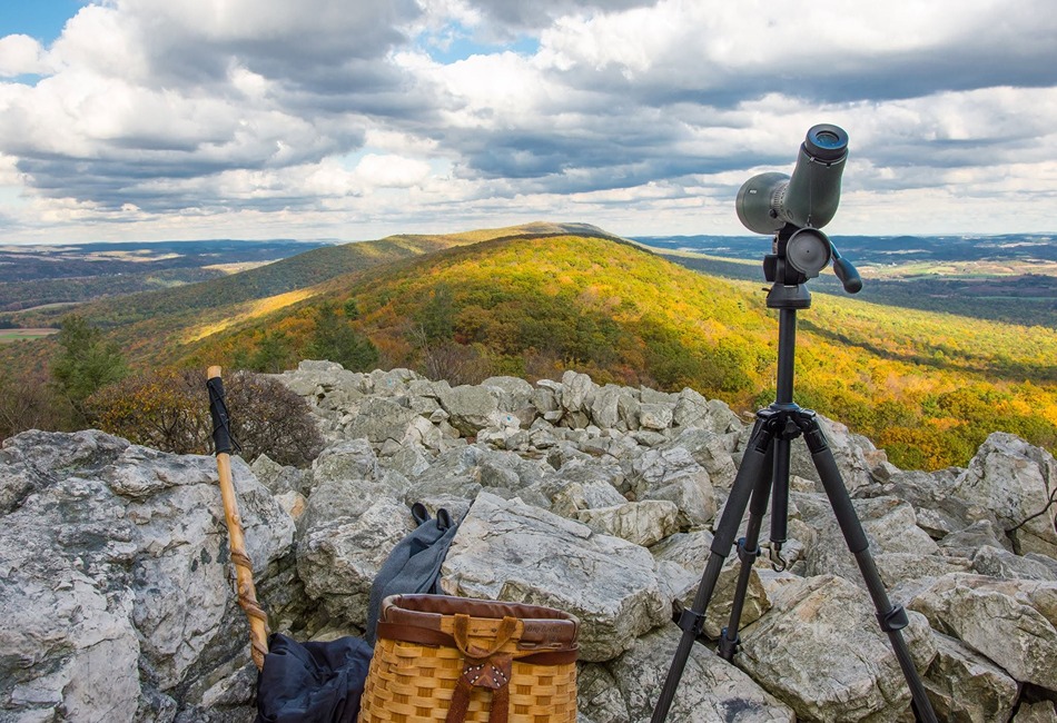 Pennsylvania Fall Foliage Tours