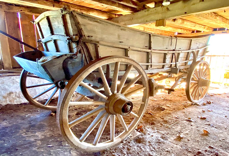Daniel Boone's 