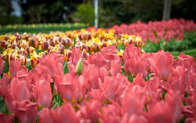 Pennsylvania Arts, Gardens & Historic Charm