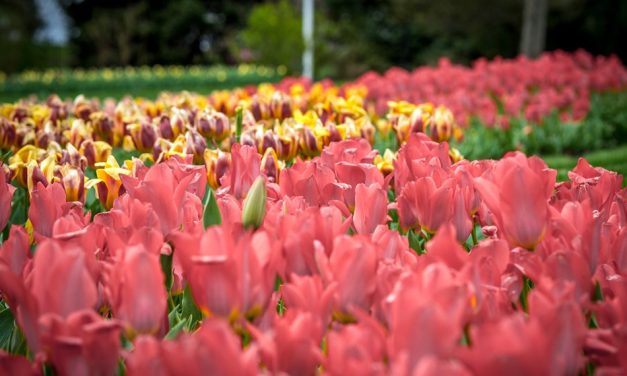 Pennsylvania Arts, Gardens & Historic Charm