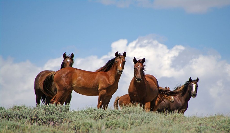 Fresh Discoveries Await Travelers in Southwest Wyoming