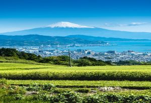 Exploring Japan’s