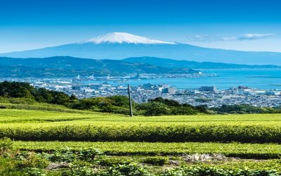 Beyond the Golden Route: Exploring Japan’s Unexpected Sides
