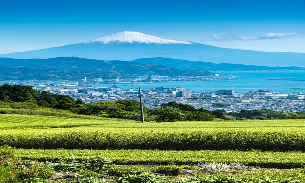 Beyond the Golden Route: Exploring Japan’s Unexpected Sides