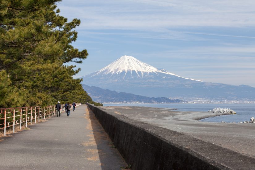 Miho no Matsubara